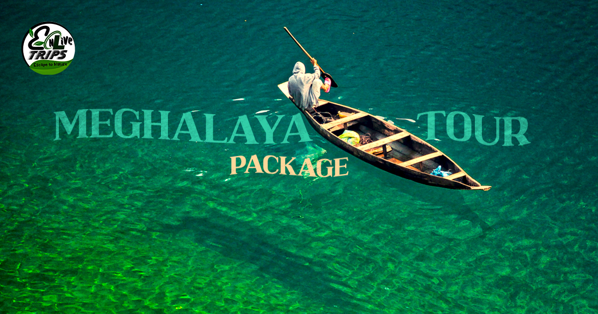 15 Best Places to Visit In Meghalaya | A Complete Travel Guide